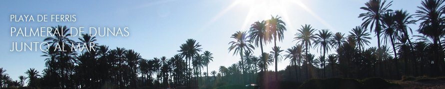 Palmerasol | Alquiler apartamento por temporada | Torrevieja | Guardamar | Orihuela Costa | Costa Blanca